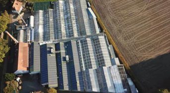 Q QCELLS Modules Supply Clean Electricity for Award-Winning Crop Production System at Bock Bio Science Gmbh