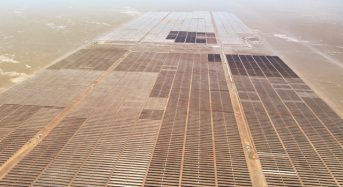 Longi Supplies 123MW of High-Efficiency Modules for Solarpack’s Granja PV Plant in Chile