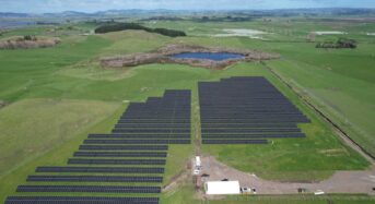 Trinasolar Partners with Kiwi Solar and Trilect to Launch Waikato, New Zealand’s First Agrivoltaics Project