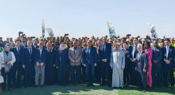 Trinasolar Collaborates with Energy China ZTPC and AMEA Power to Deploy Innovative Energy Storage Solution for the 300MWh Abydos Solar PV Project in Egypt