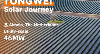 Tongwei Solar PV Project Highlight: Zonnepark Aadjk Solar Power Plant